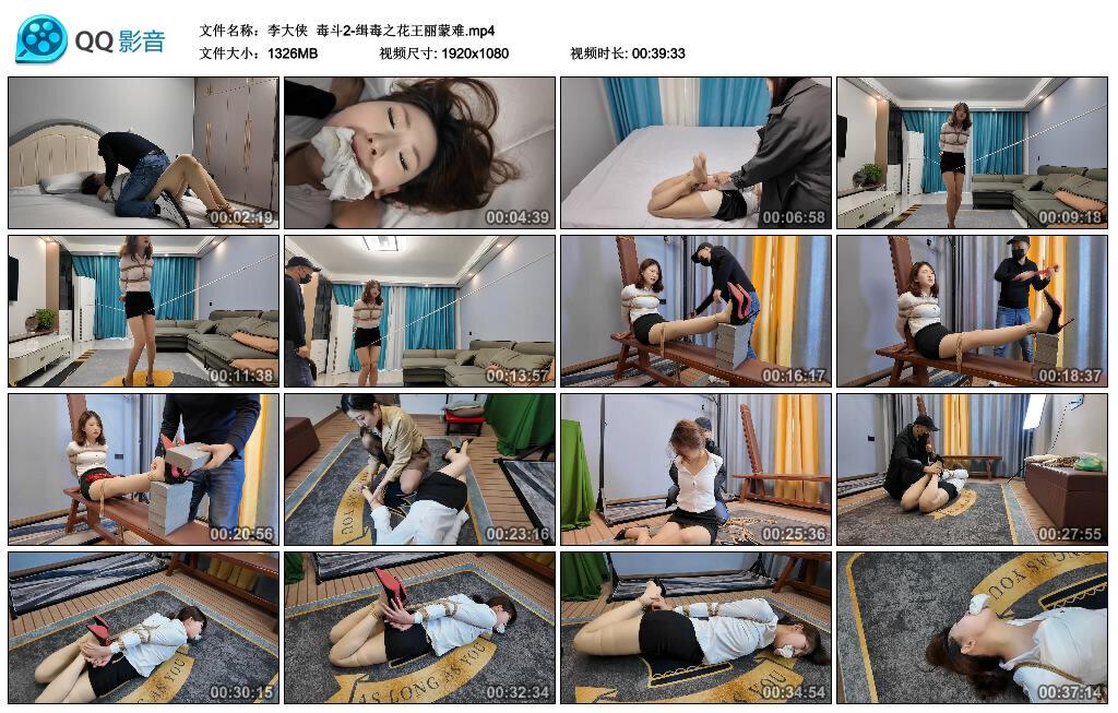 【李大侠】毒斗2-缉毒之花王丽蒙难