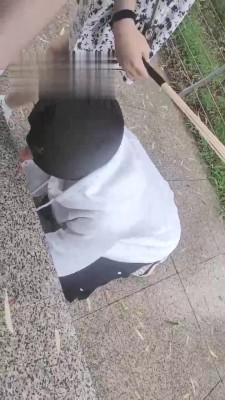 【古野S&辰辰s】野外树林调教捆绑鞭打羞辱贱狗（双视角） bf17940