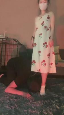【九九女王】学生S虐狗熊【上】 bf12345