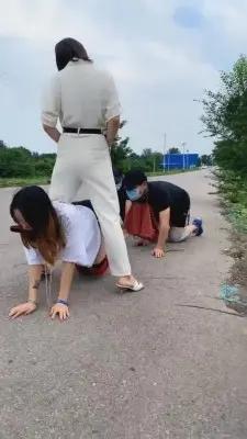 【茹雪】推荐群调-户外遛狗-骑马比赛 G-210719-19