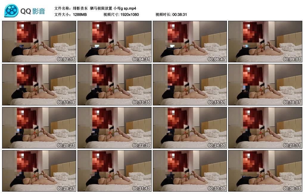 【绯影责东】驷马极限放置 小母g sp
