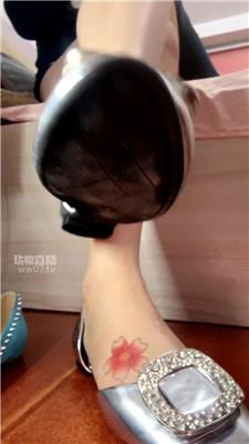 【咬猫】狗儿子认亲了鞋子崇拜    251125-18